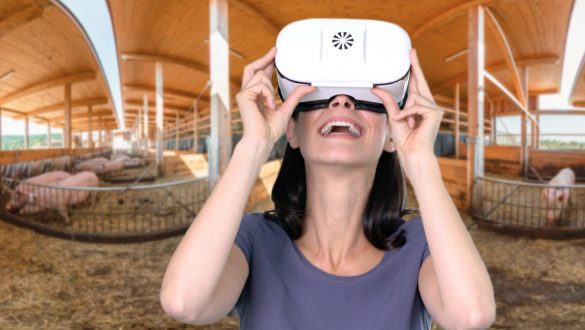 BV-VR-Brille-360-Grad-Video-Schweinehof-01 virtueller Bauernhof - im 360 Grad Video mit der VR-Brille erleben