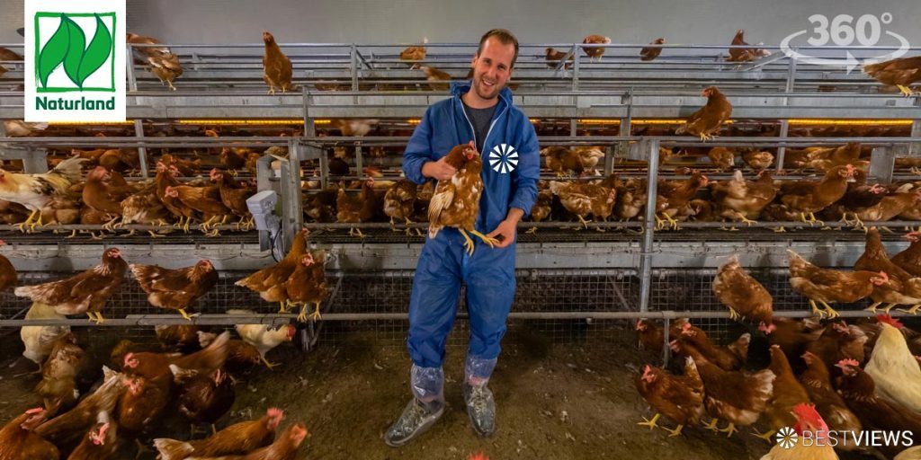 Rundum Öko: Hühner im Öko Naturland Betrieb in 360 Grad erleben