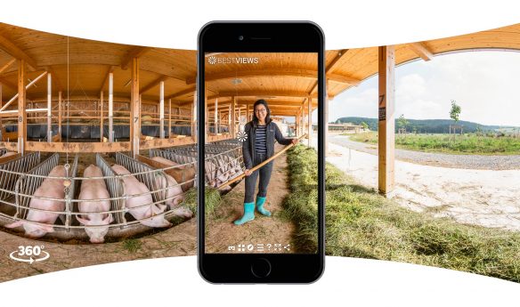 iphone-360-Grad-Öko-Schweinehof virtueller Bauernhof mit Öko Schweinen - in 360 Grad erleben